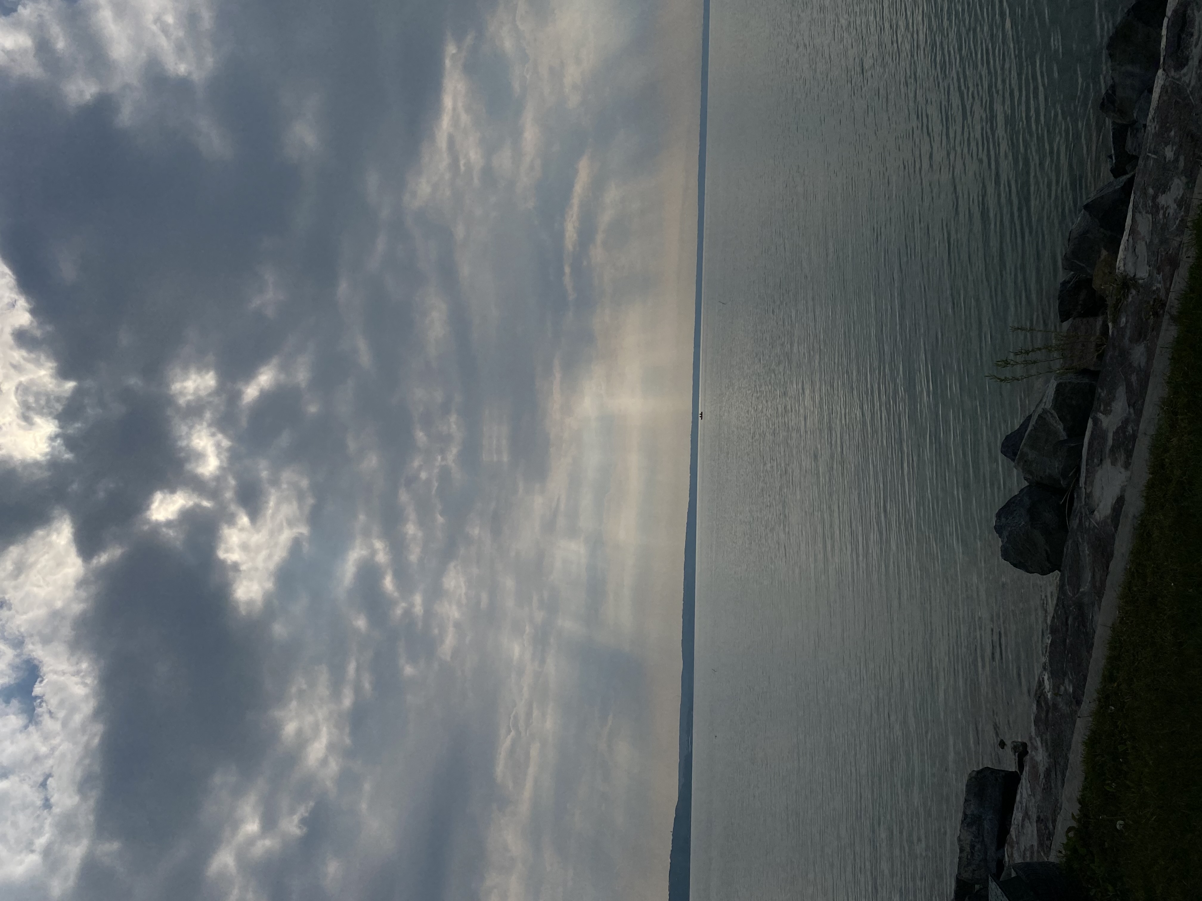 IMG_3837.jpeg